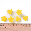 Transparent Acrylic Beads PLF018-19-4