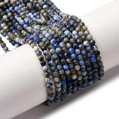 Natural Lapis Lazuli Beads Strands LS-G-L629-B01-2mm-03-1