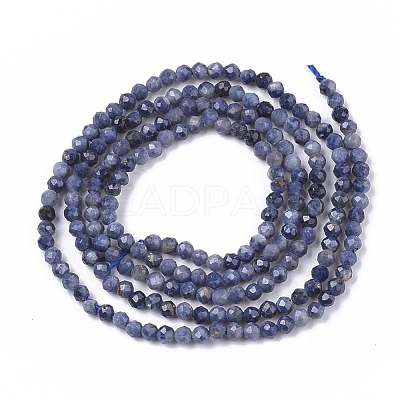 Natural Sapphire Beads Strands X-G-S361-2mm-009-1