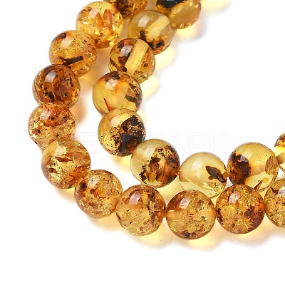 Natural Amber Beads Strands G-K387-D02-01-1