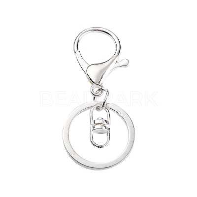 Iron Alloy Lobster Claw Clasp Keychain LS-KEYC-D016-S-1