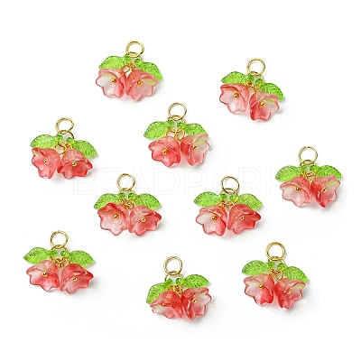 Glass Pendants PALLOY-YW00054-05-1
