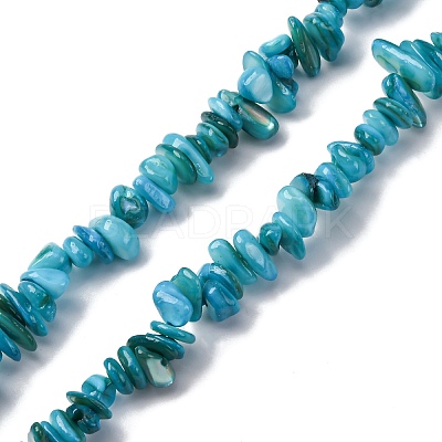 Natural Freshwater Shell Beads Strands BSHE-I016-01A-1