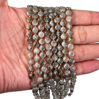 Natural Labradorite Beads Strands G-K389-B66-01-1
