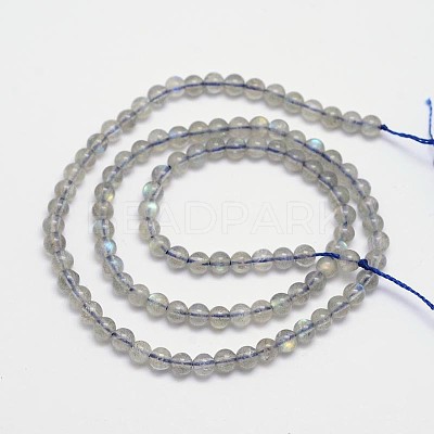 Natural Labradorite Round Bead Strands G-M263-A-03-1