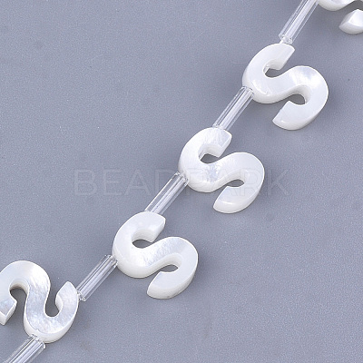 Natural Sea Shell Beads SHEL-T012-60S-1