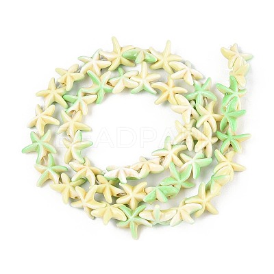 Synthetic Turquoise Dyed Beads Strands G-P507-04T-1