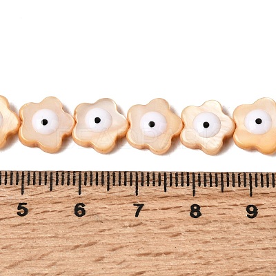 Dyed Natural Freshwater Shell Beads Strands SHEL-A006-03B-1