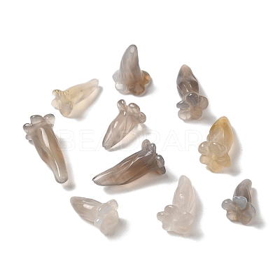 Natural Grey Agate Beads G-C054-09D-1