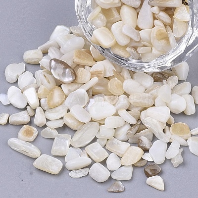 Freshwater Shell Beads SHEL-S266-11-1