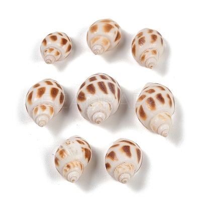 Natural Spiral Shell Pendants SHEL-K009-17D-1