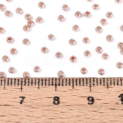 11/0 FGB Grade A Dyed Glass Seed Beads X-SEED-N001-C-0562-1