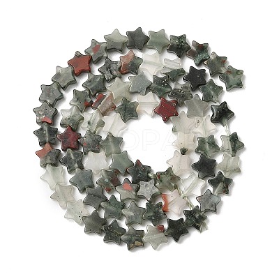 Natural Bloodstone Beads Strands G-H087-C05-01-1