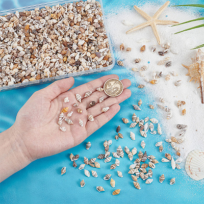 Mini Natural Shell Beads BSHE-PH0001-57A-1