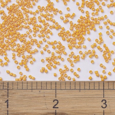 MIYUKI Delica Beads SEED-X0054-DB0651-1