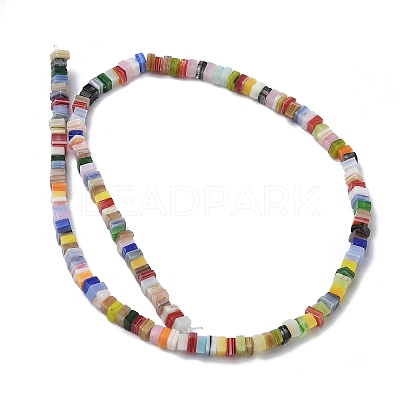 Handmade Lampwork Beads Strands LAMP-Q037-02A-09-1