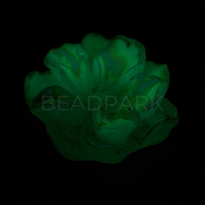 Luminous Resin Cabochons RESI-E033-02D-1