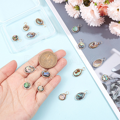 16Pcs 4 Styles Natural Abalone Shell/Paua Shell Pendants SHEL-GA0001-11-1