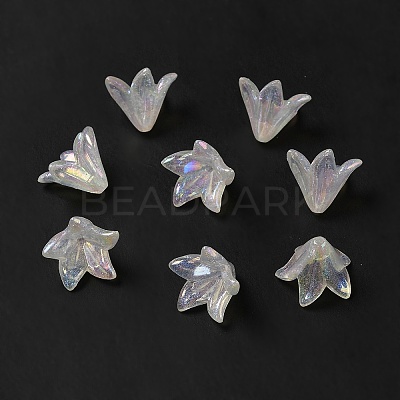 Transparent Acrylic Bead Caps OACR-H016-03-1