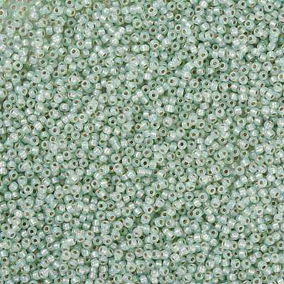 MIYUKI Round Rocailles Beads SEED-X0055-RR2354-1