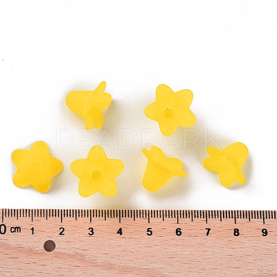 Transparent Acrylic Beads PLF018-19-1