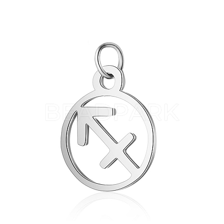 Non-Tarnish 304 Stainless Steel Charms STAS-T036-T513-A9-1