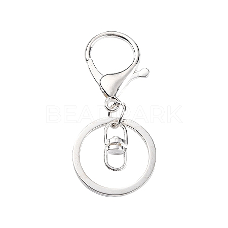 Iron Alloy Lobster Claw Clasp Keychain LS-KEYC-D016-S-1