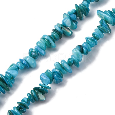 Natural Freshwater Shell Beads Strands BSHE-I016-01A-1