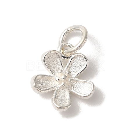 925 Sterling Silver 5-Petal Flower Charms with Jump Rings FIND-U013-02S-01-1