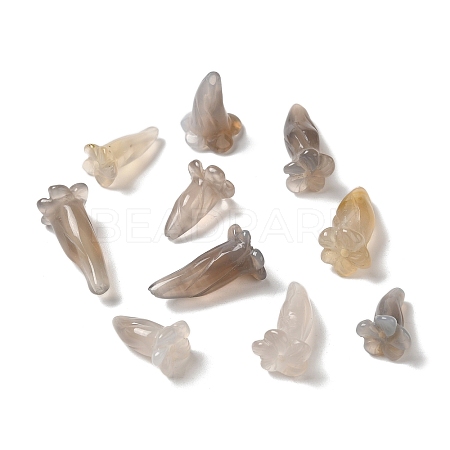Natural Grey Agate Beads G-C054-09D-1