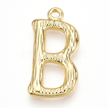 304 Stainless Steel Pendants STAS-N117-01G-B-1