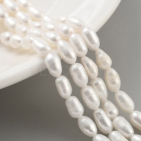 Natural Cultured Freshwater Pearl Beads Strands PEAR-P062-06F-1
