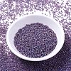 MIYUKI Delica Beads SEED-JP0008-DB0869-2