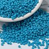 MIYUKI Round Rocailles Beads SEED-G008-RR0413-1