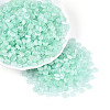 Glass Seed Beads SEED-T007-17L-1