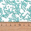 8/0 Round Glass Seed Beads SEED-J011-F8-178-4