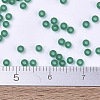 MIYUKI Round Rocailles Beads SEED-G007-RR0147F-4