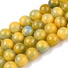 Dyed Natural White Jade Beads Strands G-T138-10mm-210-26-4