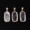 Natural Quartz Crystal Pendants G-N349-03A-G-1