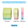 Gorgecraft 30 Yards 3 Styles Rainbow Gradient Polyester Ribbon OCOR-GF0002-12-2