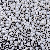 MIYUKI Delica Beads SEED-X0054-DB0221-4