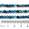 Natural Agate Beads Strands X-G-H302-A01-02-5