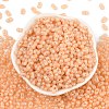 Baking Paint Glass Seed Beads SEED-L011-09A-12-2