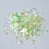 Plastic Candy Sequins/Paillette Chip DIY-I019-01K-2