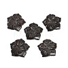 Natural Bronzite Carved Pendants G-B097-01A-12-1