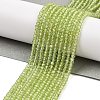 Natural Peridot Beads Strands G-ONLY-T-B07-01A-2