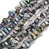 Natural Freshwater Shell Beads Strands BSHE-H018-07E-1