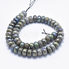 Electroplate Natural Labradorite Beads Strands G-K256-27E-2