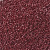 MIYUKI Delica Beads X-SEED-J020-DB2119-3