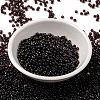 MIYUKI Round Rocailles Beads SEED-JP0009-RR2402-2